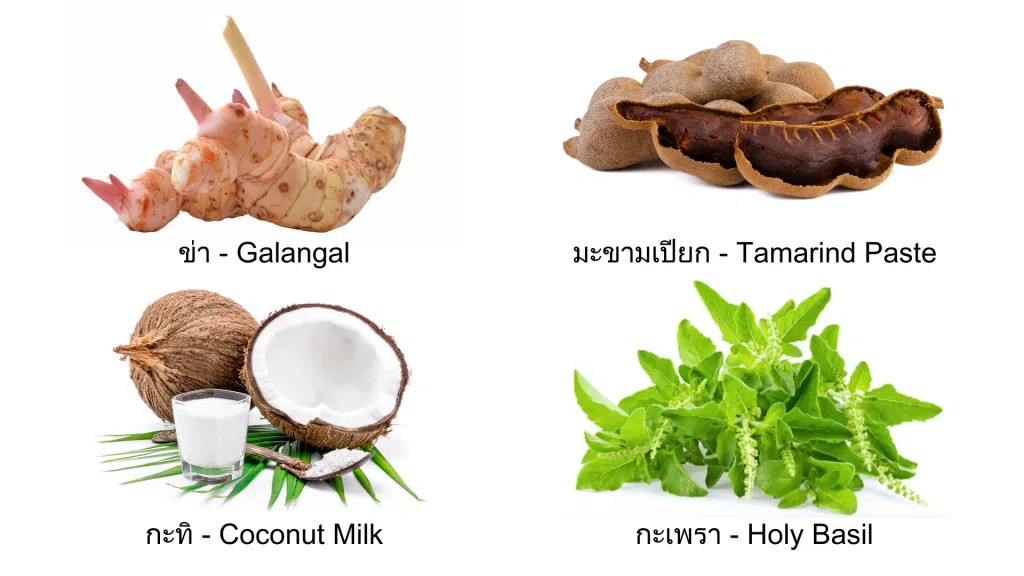 galangal, tamarind paste, coconut milk, holy basil